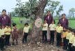 डीवीआई  स्मार्ट स्कूल के बच्चों ने पेड़ को राखी बांधकर दिया पर्यावरण संरक्षण का अनूठा संदेश
